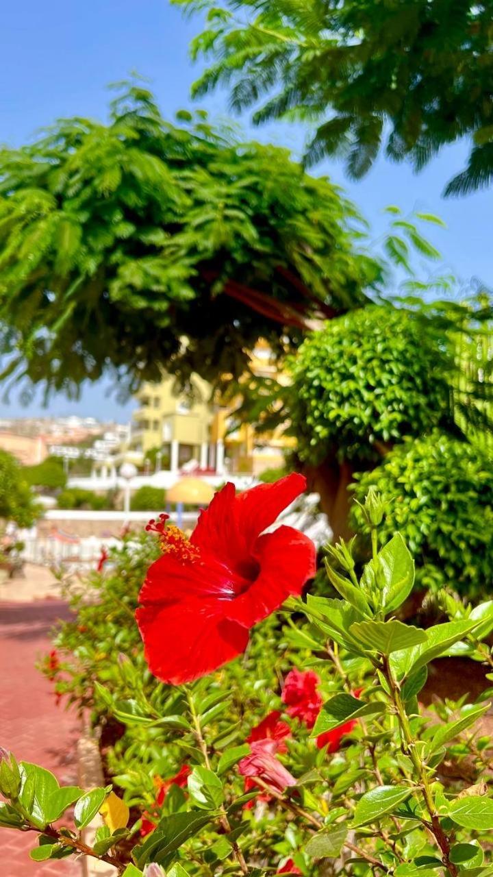 Cozy Two Bed Apartment. Costa Adeje  Zewnętrze zdjęcie
